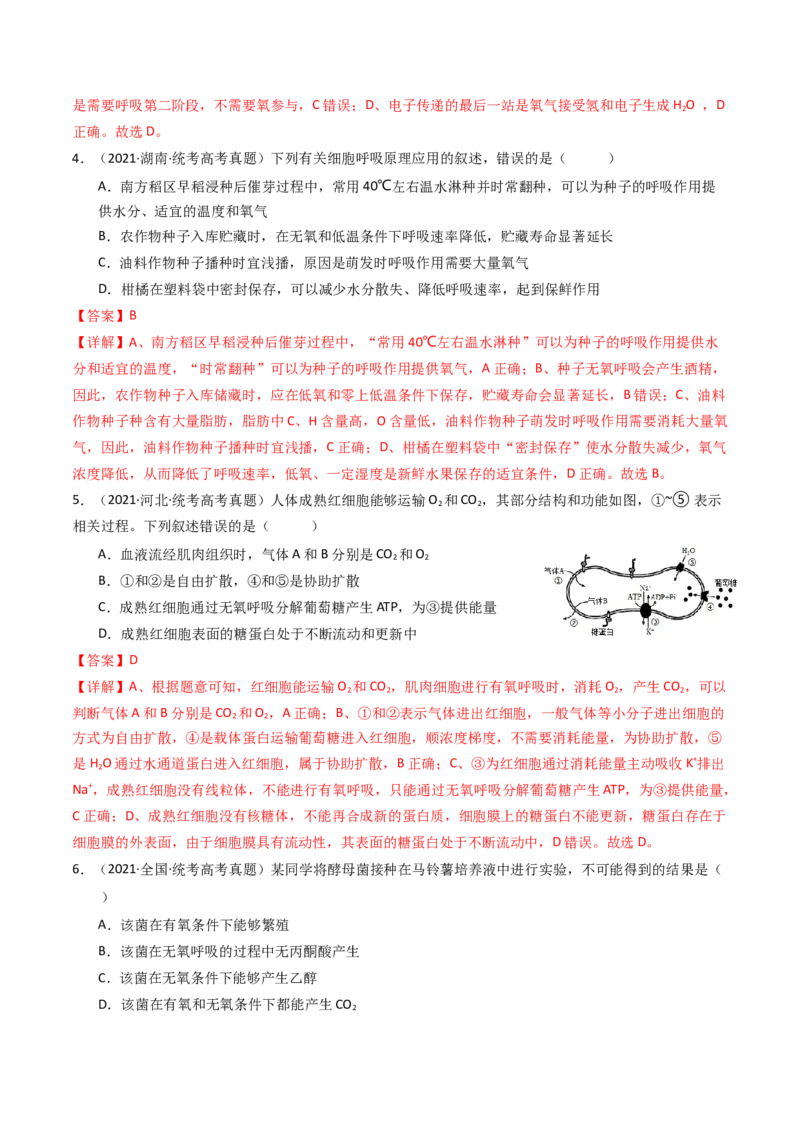 专题05细胞呼吸（解析卷）_近10年高考真题汇编（必刷）_十年（2014-2024）高考生物真题分项汇编（全国通用）_十年（2014-2023）高考生物真题分项汇编（全国通用）