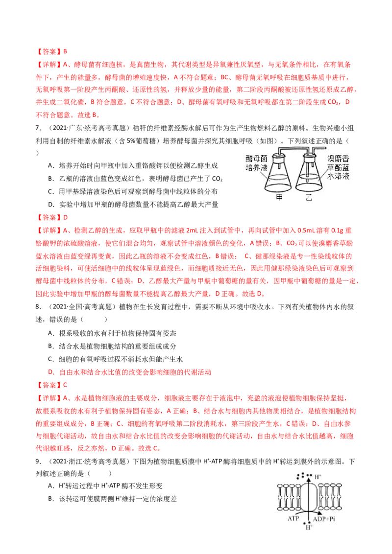 专题05细胞呼吸（解析卷）_近10年高考真题汇编（必刷）_十年（2014-2024）高考生物真题分项汇编（全国通用）_十年（2014-2023）高考生物真题分项汇编（全国通用）