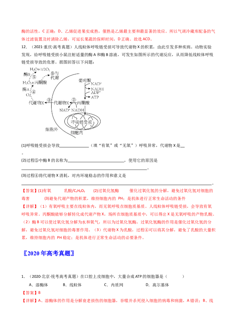 专题05细胞呼吸（解析卷）_近10年高考真题汇编（必刷）_十年（2014-2024）高考生物真题分项汇编（全国通用）_十年（2014-2023）高考生物真题分项汇编（全国通用）