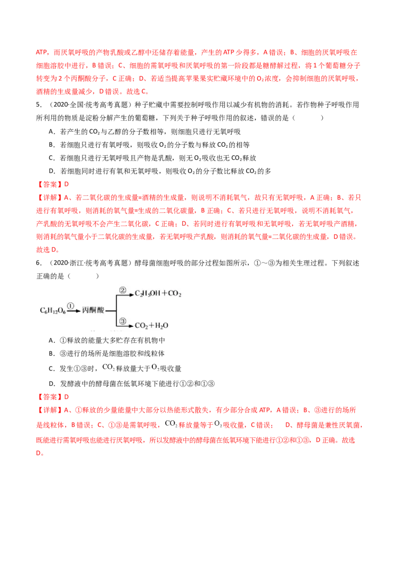 专题05细胞呼吸（解析卷）_近10年高考真题汇编（必刷）_十年（2014-2024）高考生物真题分项汇编（全国通用）_十年（2014-2023）高考生物真题分项汇编（全国通用）