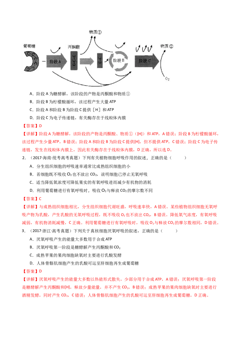 专题05细胞呼吸（解析卷）_近10年高考真题汇编（必刷）_十年（2014-2024）高考生物真题分项汇编（全国通用）_十年（2014-2023）高考生物真题分项汇编（全国通用）