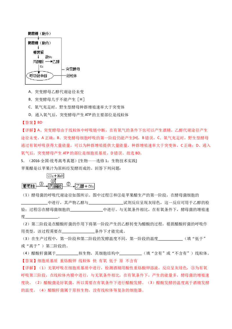 专题05细胞呼吸（解析卷）_近10年高考真题汇编（必刷）_十年（2014-2024）高考生物真题分项汇编（全国通用）_十年（2014-2023）高考生物真题分项汇编（全国通用）