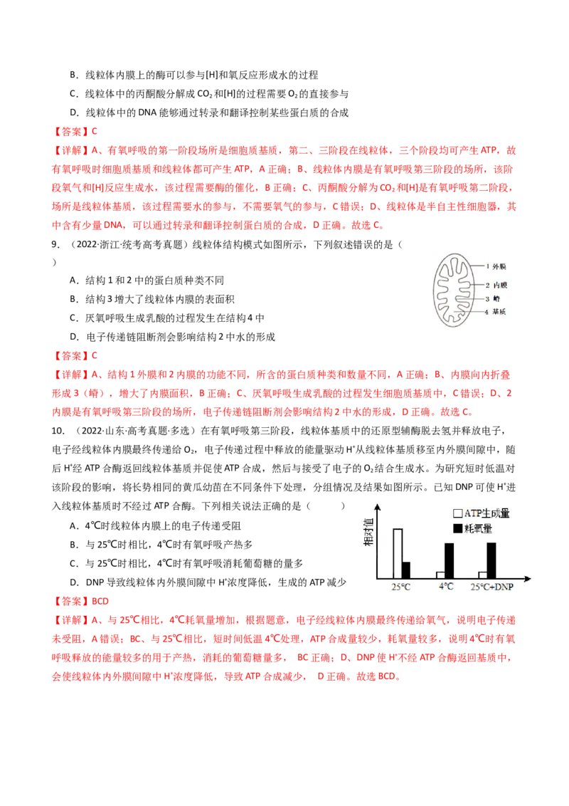 专题05细胞呼吸（解析卷）_近10年高考真题汇编（必刷）_十年（2014-2024）高考生物真题分项汇编（全国通用）_十年（2014-2023）高考生物真题分项汇编（全国通用）