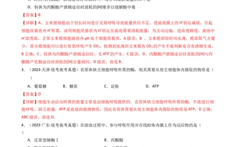 专题05细胞呼吸（解析卷）_近10年高考真题汇编（必刷）_十年（2014-2024）高考生物真题分项汇编（全国通用）_十年（2014-2023）高考生物真题分项汇编（全国通用）