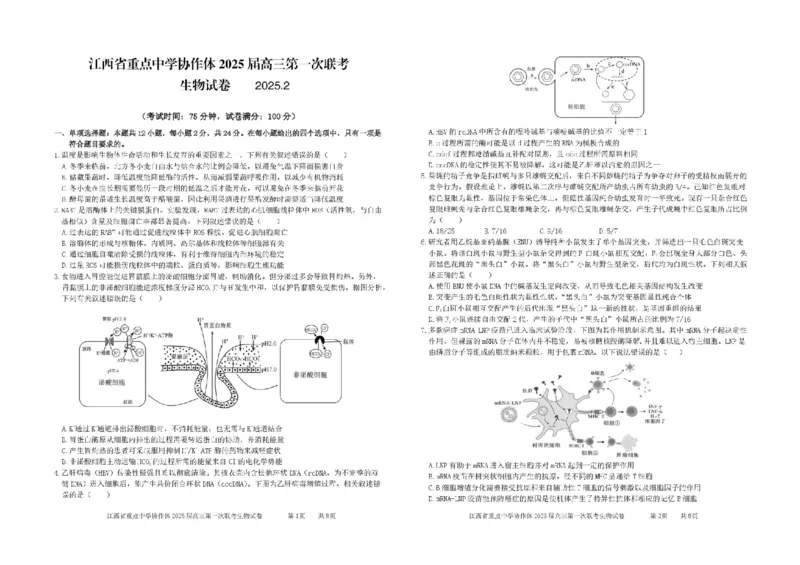 江西省重点中学协作体2025届高三第一次联考生物试题+答案_2025年2月_250211江西省重点中学协作体2024-2025学年高三下学期第一次联考（全科）