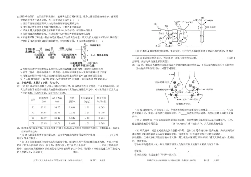 江西省重点中学协作体2025届高三第一次联考生物试题+答案_2025年2月_250211江西省重点中学协作体2024-2025学年高三下学期第一次联考（全科）