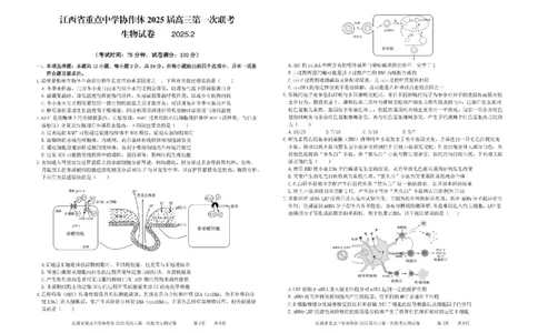 江西省重点中学协作体2025届高三第一次联考生物试题+答案_2025年2月_250211江西省重点中学协作体2024-2025学年高三下学期第一次联考（全科）