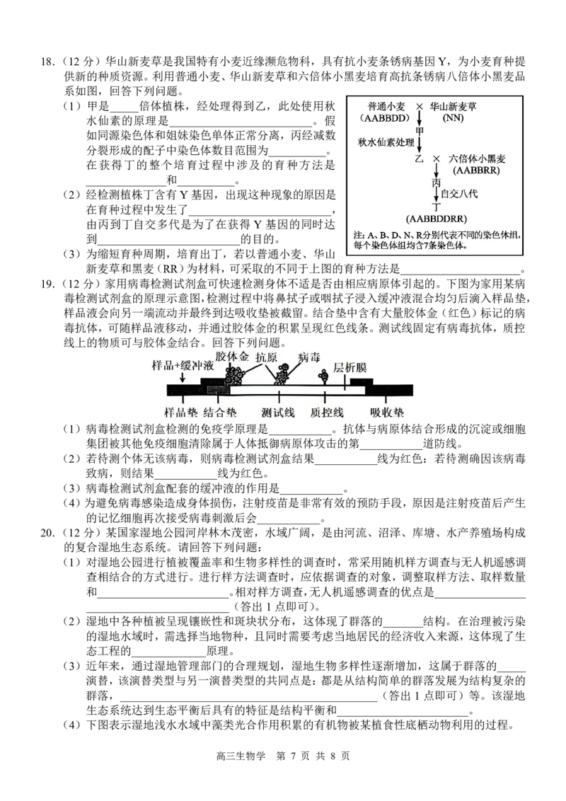 高三生物试卷_2025年4月_250406广西壮族自治区&ldquo;武鸣高中-贵百河&rdquo;2025届高三下学期4月联考_广西&ldquo;武鸣高中-贵百河&rdquo;2025届高三下学期4月联考测试生物