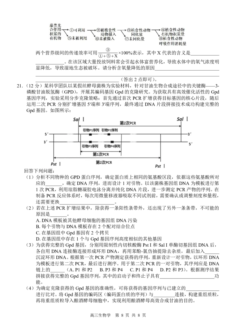 高三生物试卷_2025年4月_250406广西壮族自治区&ldquo;武鸣高中-贵百河&rdquo;2025届高三下学期4月联考_广西&ldquo;武鸣高中-贵百河&rdquo;2025届高三下学期4月联考测试生物