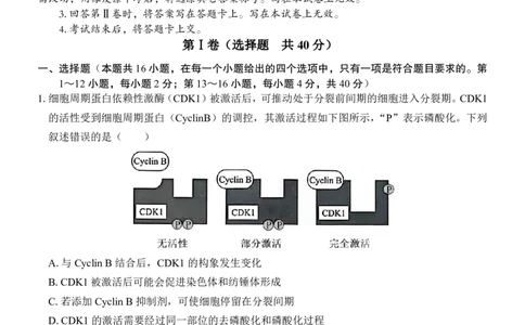 高三生物试卷_2025年4月_250406广西壮族自治区&ldquo;武鸣高中-贵百河&rdquo;2025届高三下学期4月联考_广西&ldquo;武鸣高中-贵百河&rdquo;2025届高三下学期4月联考测试生物
