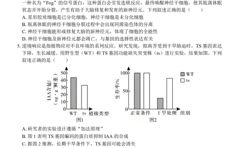 高三生物试卷_2025年4月_250406广西壮族自治区&ldquo;武鸣高中-贵百河&rdquo;2025届高三下学期4月联考_广西&ldquo;武鸣高中-贵百河&rdquo;2025届高三下学期4月联考测试生物
