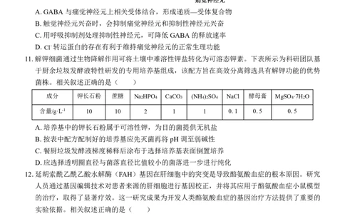 高三生物试卷_2025年4月_250406广西壮族自治区&ldquo;武鸣高中-贵百河&rdquo;2025届高三下学期4月联考_广西&ldquo;武鸣高中-贵百河&rdquo;2025届高三下学期4月联考测试生物