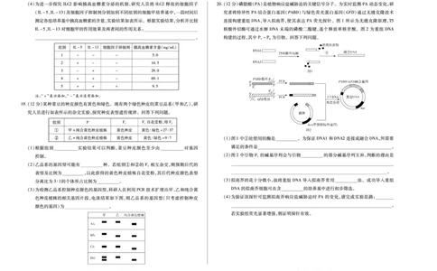 生物学安徽高三8月秋季检测试卷单色_2025年8月_250830天一大联考&middot;安徽省2025-2026学年高三上学期8月秋季检测（全科）_天一大联考&middot;安徽省2025-2026学年高三上学期8月秋季检测生物