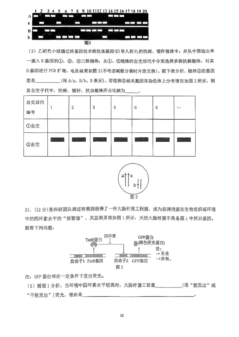 广东省六校联盟2026届高三上学期第一次联考生物试题_2025年8月_250809广东六校联盟2026届高三第一次联考