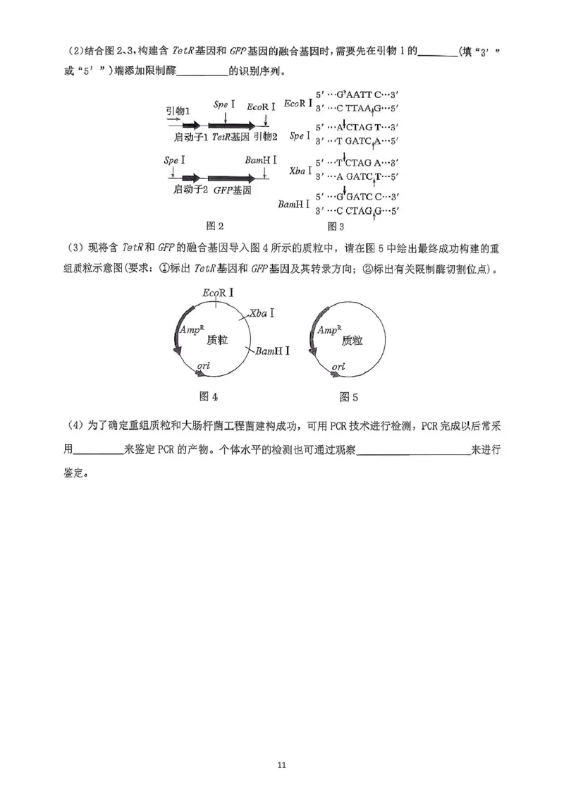 广东省六校联盟2026届高三上学期第一次联考生物试题_2025年8月_250809广东六校联盟2026届高三第一次联考