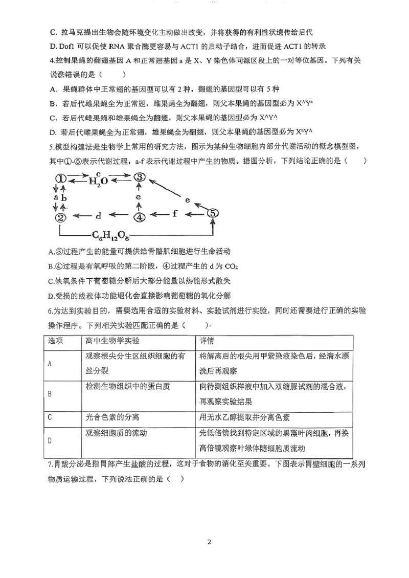 广东省六校联盟2026届高三上学期第一次联考生物试题_2025年8月_250809广东六校联盟2026届高三第一次联考