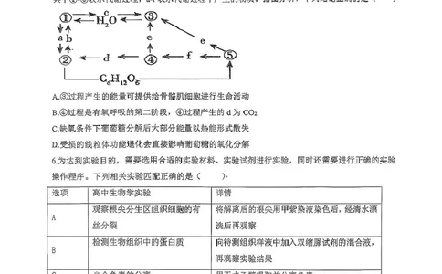 广东省六校联盟2026届高三上学期第一次联考生物试题_2025年8月_250809广东六校联盟2026届高三第一次联考
