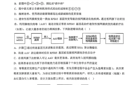 广东省六校联盟2026届高三上学期第一次联考生物试题_2025年8月_250809广东六校联盟2026届高三第一次联考