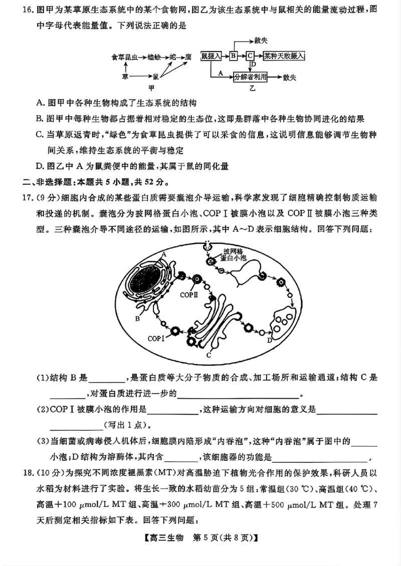 山西金科大联考2026届高三10月质量检测生物试题（含答案）_2025年10月_251010山西三重教育金科大联考2026届高三10月质量检测