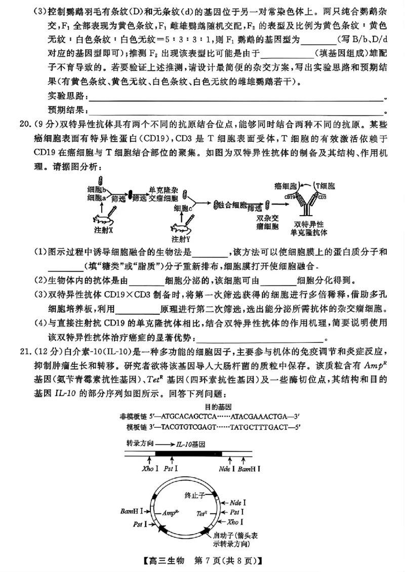 山西金科大联考2026届高三10月质量检测生物试题（含答案）_2025年10月_251010山西三重教育金科大联考2026届高三10月质量检测