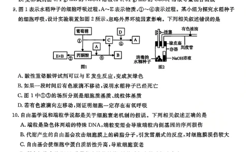 山西金科大联考2026届高三10月质量检测生物试题（含答案）_2025年10月_251010山西三重教育金科大联考2026届高三10月质量检测