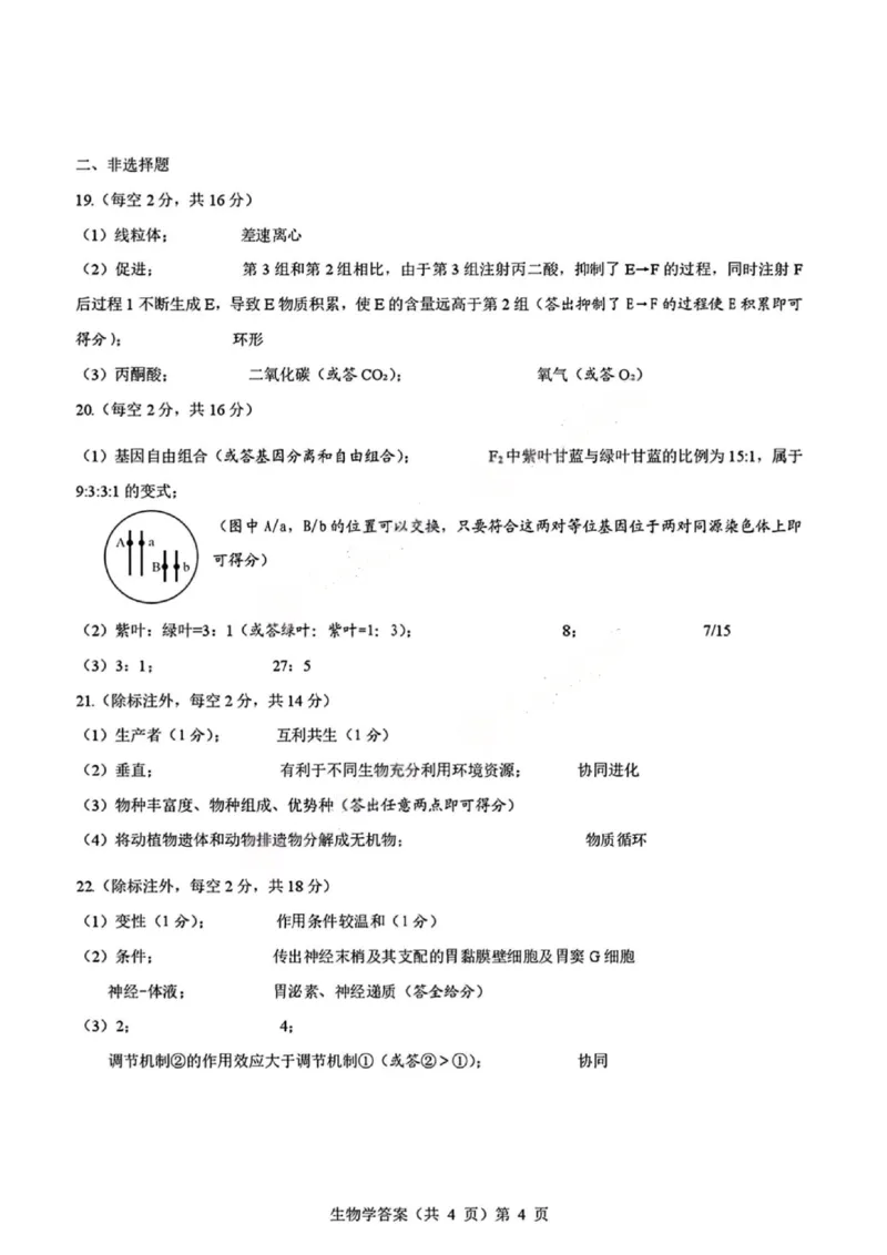生物试卷答案_2025年9月_250907湖北省楚天协作体2025-2026学年高三上学期开学（全科）_湖北省楚天协作体2025-2026学年高三上学期9月起点考试生物