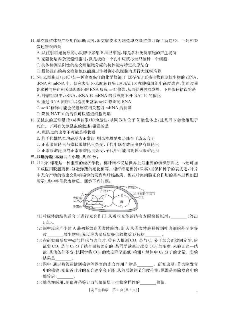 生物金太阳&middot;湖南省怀化市2026届高三上学期入学考试（26-06C）_2025年9月_250901湖南省怀化市2026届高三上学期入学考试（26-06C）（全科）