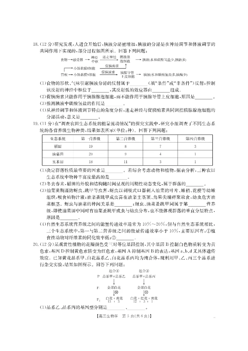 生物金太阳&middot;湖南省怀化市2026届高三上学期入学考试（26-06C）_2025年9月_250901湖南省怀化市2026届高三上学期入学考试（26-06C）（全科）