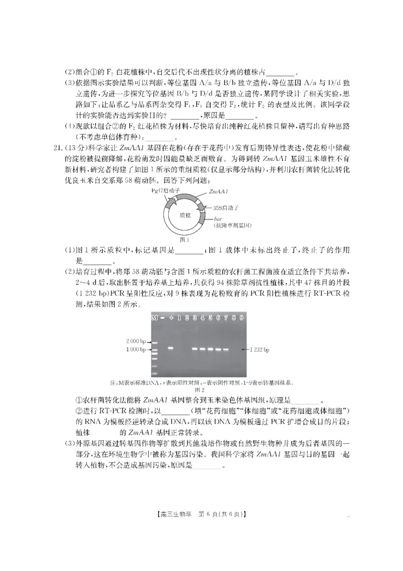 生物金太阳&middot;湖南省怀化市2026届高三上学期入学考试（26-06C）_2025年9月_250901湖南省怀化市2026届高三上学期入学考试（26-06C）（全科）