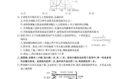 生物金太阳&middot;湖南省怀化市2026届高三上学期入学考试（26-06C）_2025年9月_250901湖南省怀化市2026届高三上学期入学考试（26-06C）（全科）