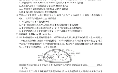 生物金太阳&middot;湖南省怀化市2026届高三上学期入学考试（26-06C）_2025年9月_250901湖南省怀化市2026届高三上学期入学考试（26-06C）（全科）