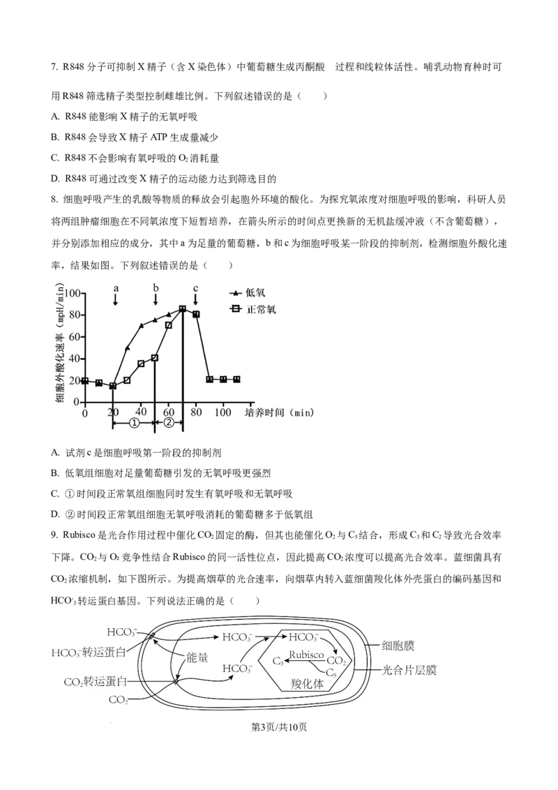 精品解析：黑龙江省哈尔滨师范大学附属中学2025-2026学年高三上学期期中考试生物试题（原卷版）_2025年11月