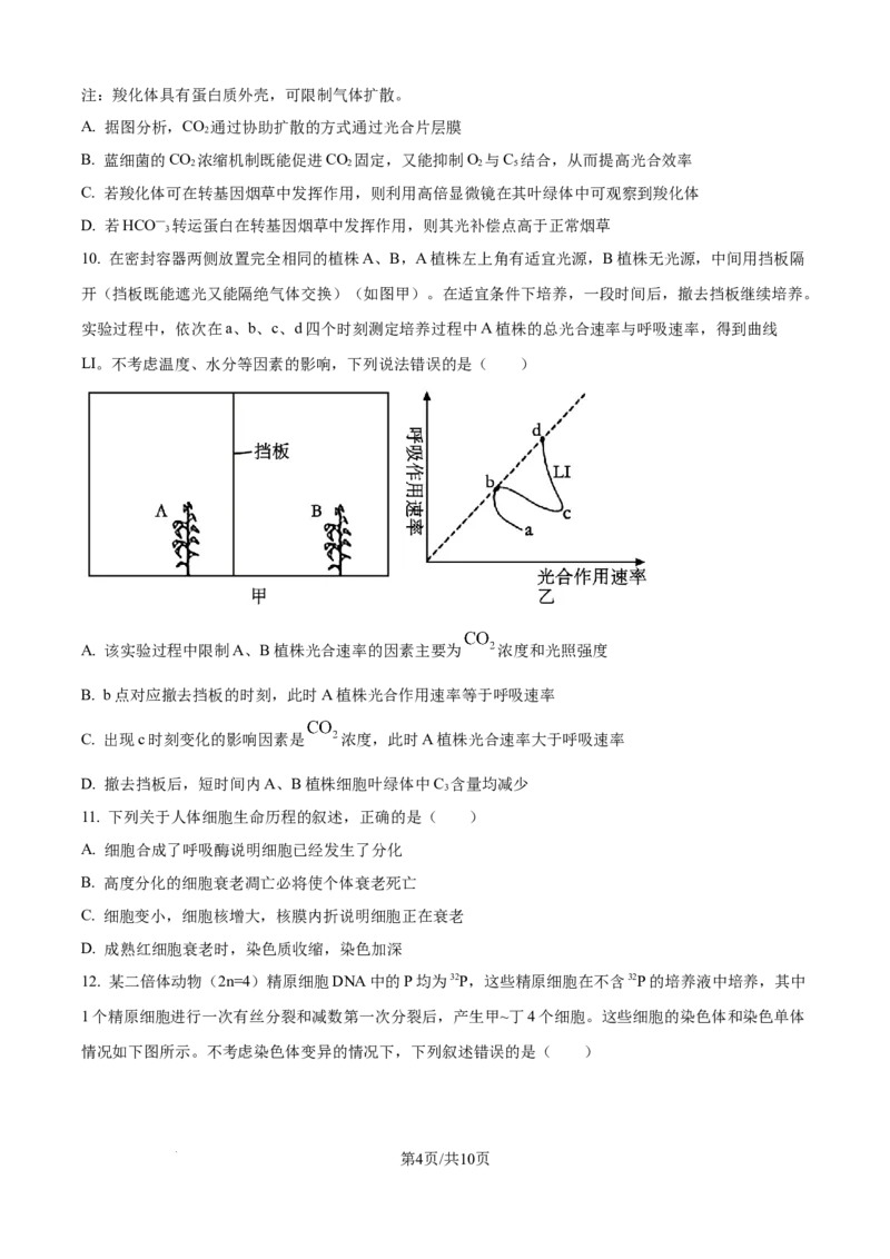 精品解析：黑龙江省哈尔滨师范大学附属中学2025-2026学年高三上学期期中考试生物试题（原卷版）_2025年11月