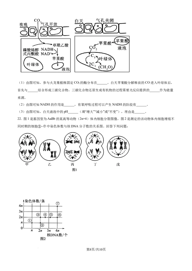 精品解析：黑龙江省哈尔滨师范大学附属中学2025-2026学年高三上学期期中考试生物试题（原卷版）_2025年11月
