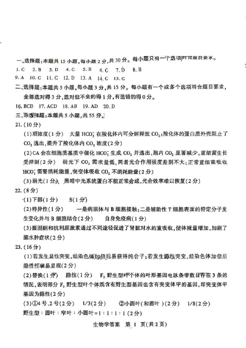 生物答案_2025年5月_250527山东省潍坊三模2025届高考模拟考试（全科）_2025届山东省潍坊市高三下学期三模生物