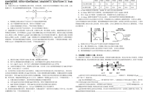 生物试题_2025年10月_251017黑龙江省哈尔滨师范大学附属中学2025-2026学年高三上学期10月月考_黑龙江省哈尔滨师范大学附属中学2025-2026学年高三上学期10月月考生物试题（含答案）
