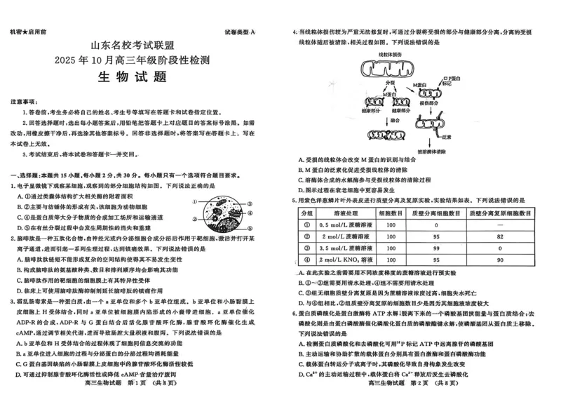 生物试题-山东名校考试联盟2025年10月高三年级阶段性检测_2025年10月_251013山东省名校考试联盟2026届高三上学期10月阶段性检测（全科）