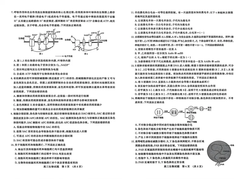 生物试题-山东名校考试联盟2025年10月高三年级阶段性检测_2025年10月_251013山东省名校考试联盟2026届高三上学期10月阶段性检测（全科）