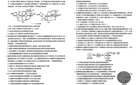 生物试题-山东名校考试联盟2025年10月高三年级阶段性检测_2025年10月_251013山东省名校考试联盟2026届高三上学期10月阶段性检测（全科）