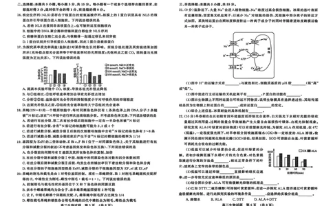 生物试题-山东名校考试联盟2025年10月高三年级阶段性检测_2025年10月_251013山东省名校考试联盟2026届高三上学期10月阶段性检测（全科）
