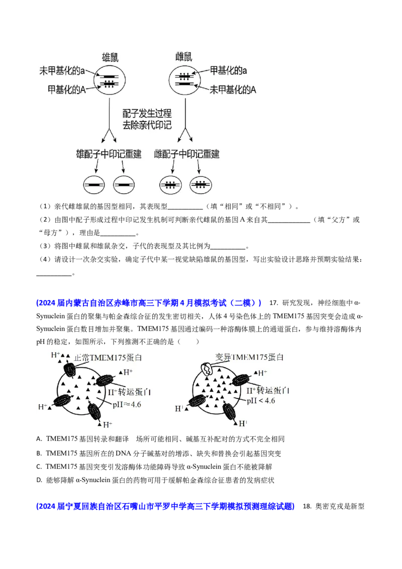 专题09遗传的分子基础-2024年高考真题和模拟题生物分类汇编(学生卷）_近10年高考真题汇编（必刷）_十年（2014-2024）高考生物真题分项汇编（全国通用）