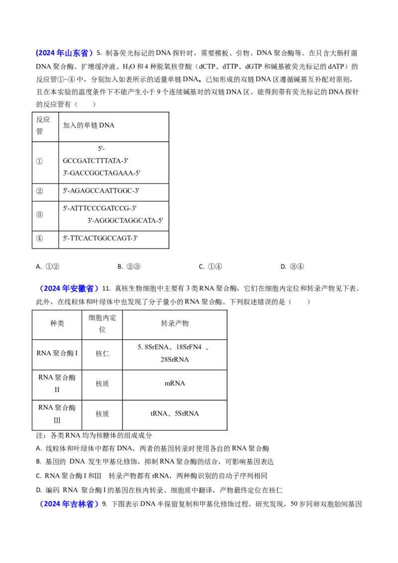 专题09遗传的分子基础-2024年高考真题和模拟题生物分类汇编(学生卷）_近10年高考真题汇编（必刷）_十年（2014-2024）高考生物真题分项汇编（全国通用）