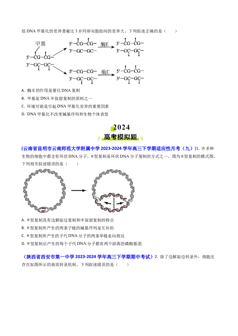 专题09遗传的分子基础-2024年高考真题和模拟题生物分类汇编(学生卷）_近10年高考真题汇编（必刷）_十年（2014-2024）高考生物真题分项汇编（全国通用）