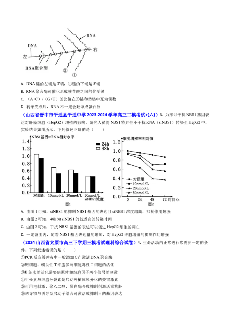 专题09遗传的分子基础-2024年高考真题和模拟题生物分类汇编(学生卷）_近10年高考真题汇编（必刷）_十年（2014-2024）高考生物真题分项汇编（全国通用）