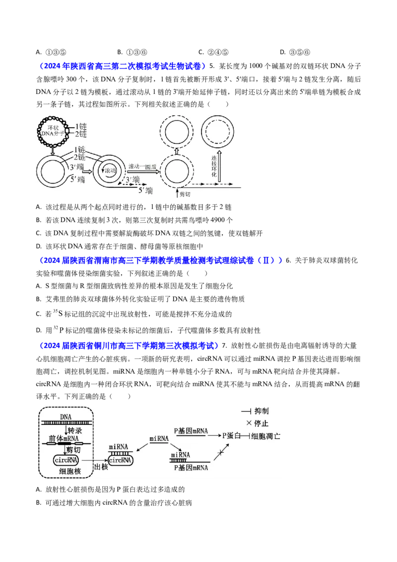 专题09遗传的分子基础-2024年高考真题和模拟题生物分类汇编(学生卷）_近10年高考真题汇编（必刷）_十年（2014-2024）高考生物真题分项汇编（全国通用）