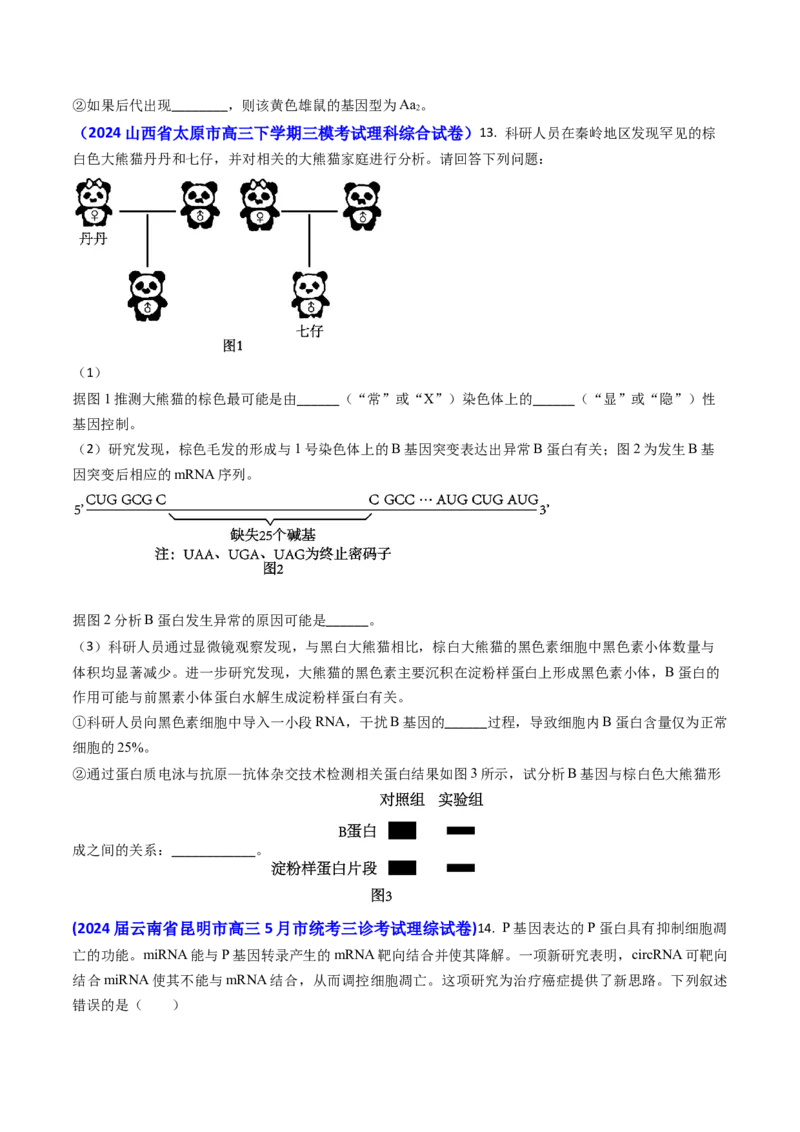 专题09遗传的分子基础-2024年高考真题和模拟题生物分类汇编(学生卷）_近10年高考真题汇编（必刷）_十年（2014-2024）高考生物真题分项汇编（全国通用）
