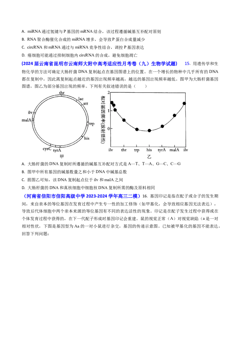 专题09遗传的分子基础-2024年高考真题和模拟题生物分类汇编(学生卷）_近10年高考真题汇编（必刷）_十年（2014-2024）高考生物真题分项汇编（全国通用）