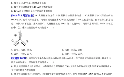 专题09遗传的分子基础-2024年高考真题和模拟题生物分类汇编(学生卷）_近10年高考真题汇编（必刷）_十年（2014-2024）高考生物真题分项汇编（全国通用）