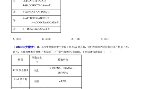 专题09遗传的分子基础-2024年高考真题和模拟题生物分类汇编(学生卷）_近10年高考真题汇编（必刷）_十年（2014-2024）高考生物真题分项汇编（全国通用）