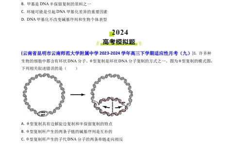 专题09遗传的分子基础-2024年高考真题和模拟题生物分类汇编(学生卷）_近10年高考真题汇编（必刷）_十年（2014-2024）高考生物真题分项汇编（全国通用）